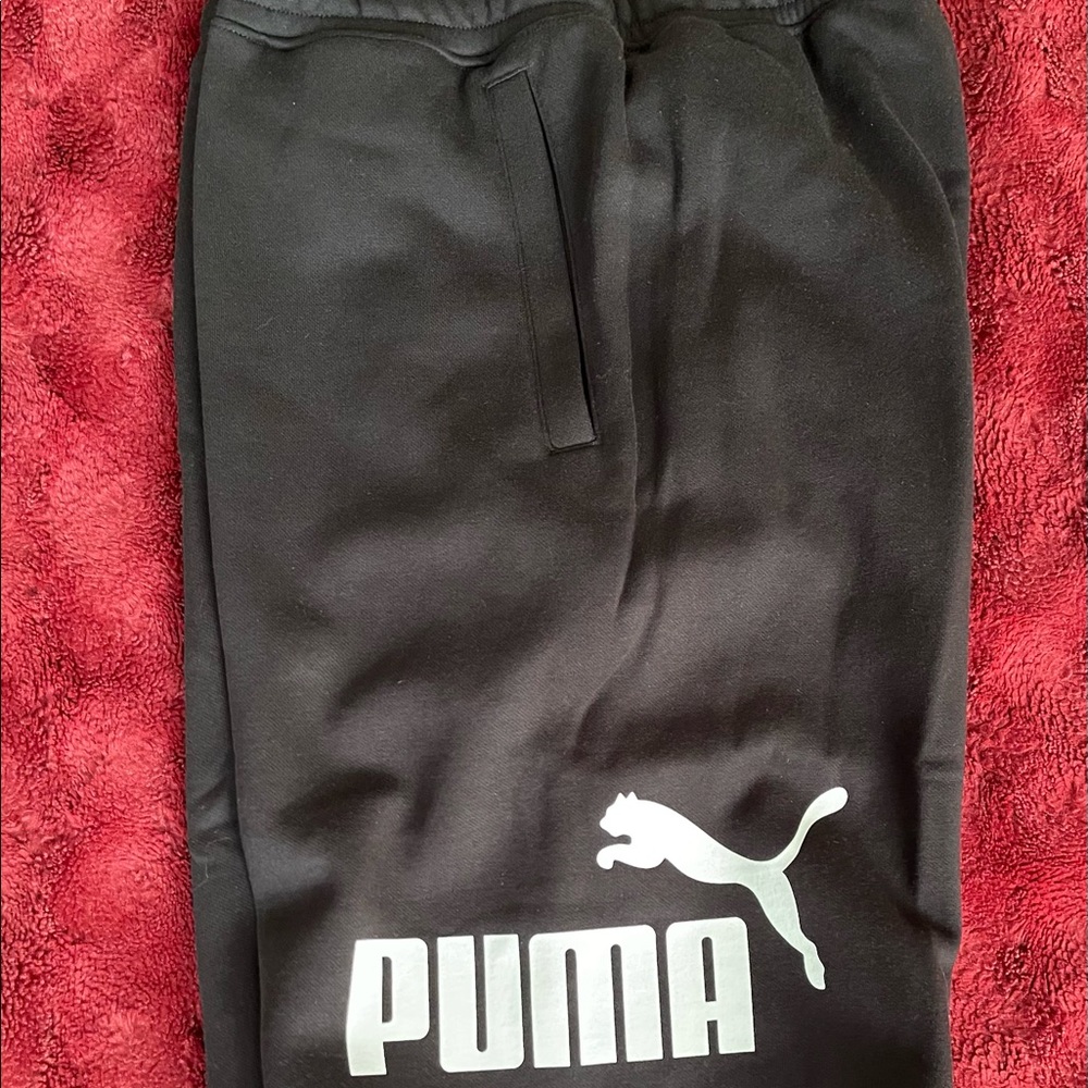 Men’s puma shorts. Size L. Smoke and pet free home.